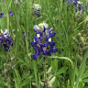 Meet your Posher, Mary grace